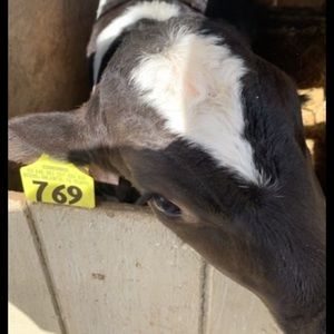 Meet your Posher, Kendra